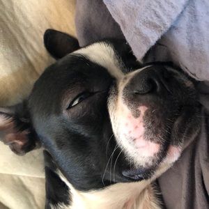 Meet your Posher, Zak